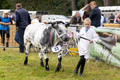 Malton Show 2024